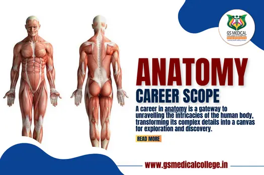 Anatomy Career Scope