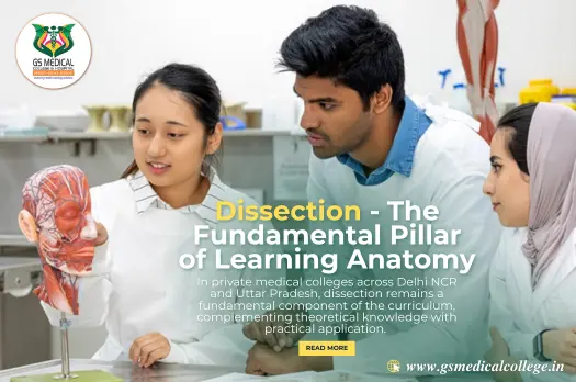 Dissection - The Fundamental Pillar of Learning Anatomy