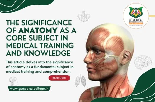 The Significance of Anatomy as a Core Subject in Medical Training and Knowledge