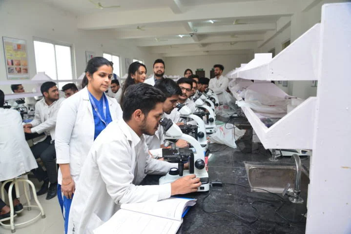 Seven Medical Students doing Practical